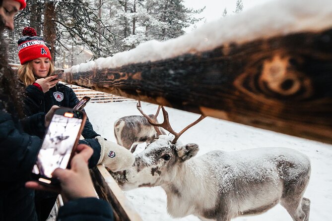 1 Day Pass Lapland Winter Park in Rovaniemi - Meals, Saunas, and Extras That Cost More