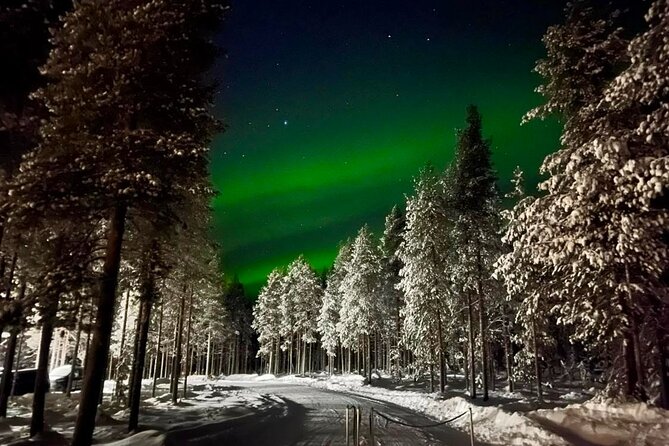 1 Day Pass Lapland Winter Park in Rovaniemi - Price and Value: Is $82.68 Fair for a Full Winter Day?