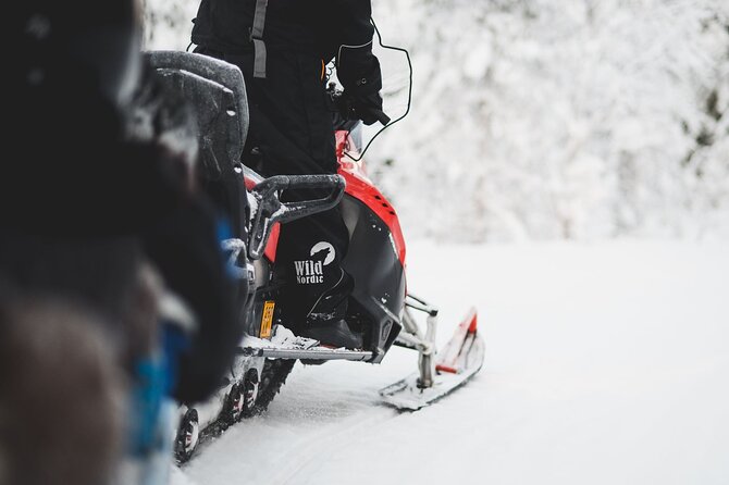1 Hour Easy Snowmobile Safari in Levi - Families and kids: when a sleigh is the smartest move