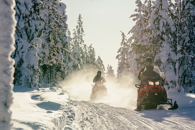 1 Hour Easy Snowmobile Safari in Levi - Price and value: what you really get for $118.95