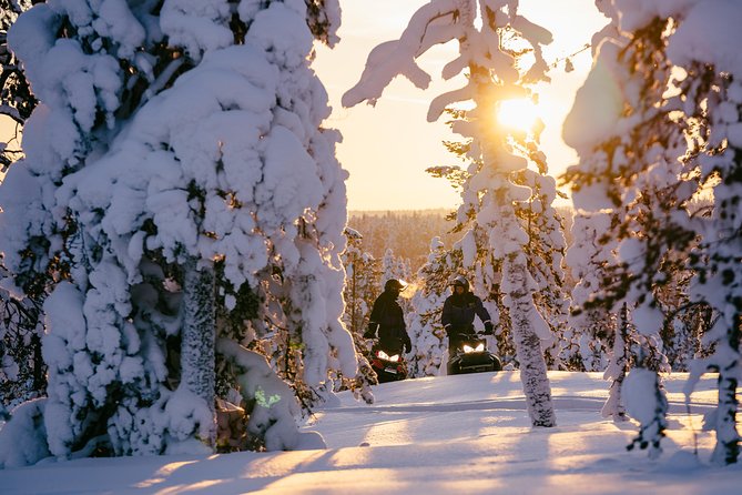 1-Hour Snowmobile Safari Experience - Price and logistics: what you pay, and what it really includes
