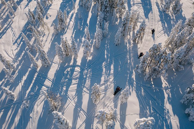 1-Hour Snowmobile Safari Experience - Guides make or break it, and this tour invests in coaching