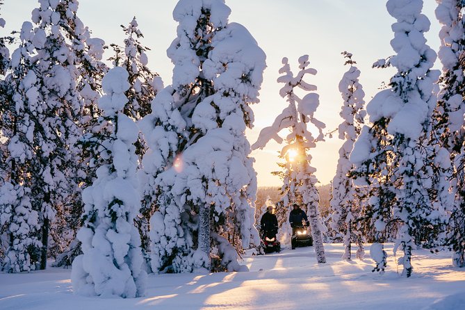 1-Hour Snowmobile Safari Experience - License checks: who gets to drive, and how sharing works