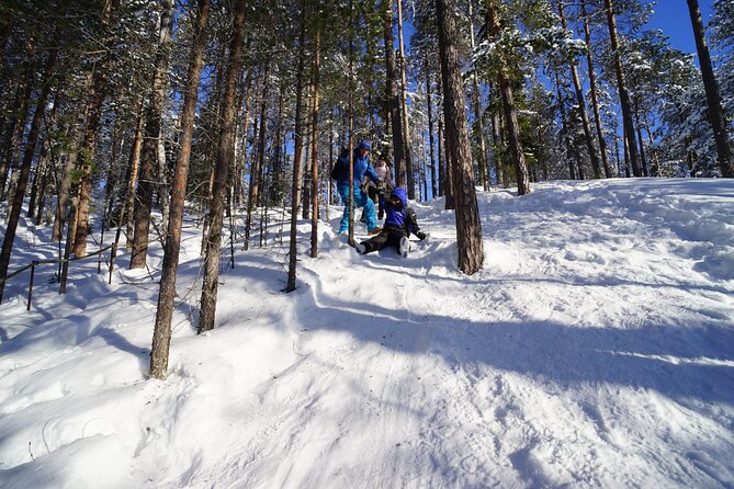 10 km Authentic Husky Safari in the Taiga Forest – Family Kennel - Key things to know before you go