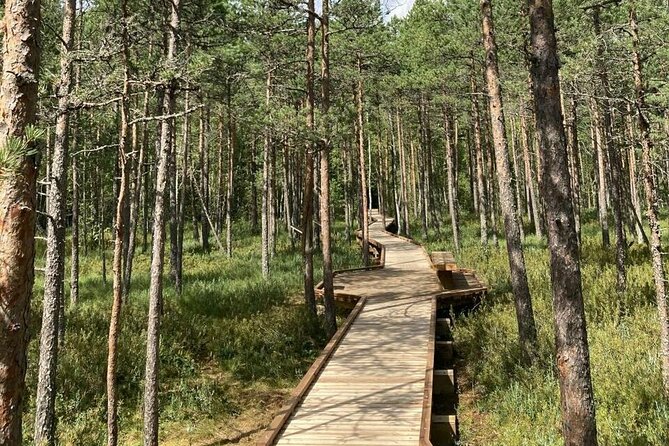2.5 Hours Hike in Vaattunkikongas Forest Trail - Key highlights to look for