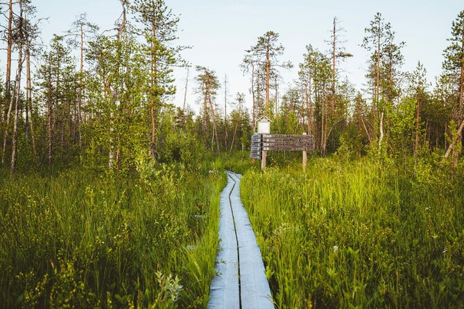 2.5 Hours Hike in Vaattunkikongas Forest Trail - What to wear: the one detail that makes or breaks snowy trails
