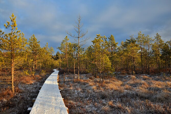 2.5 Hours Hike in Vaattunkikongas Forest Trail - Small group dynamics: why up to 15 people feels better than big tours