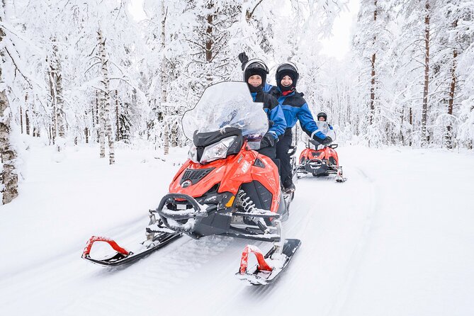 2 Hours Snowmobile Safari to the Levi Nature - Key things to know before you go