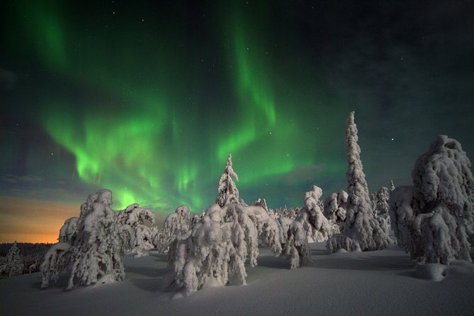 3-h Northern Light Safari by Snowmobiles From Levi - What a 3-Hour Northern Light Snowmobile Safari Feels Like in Levi