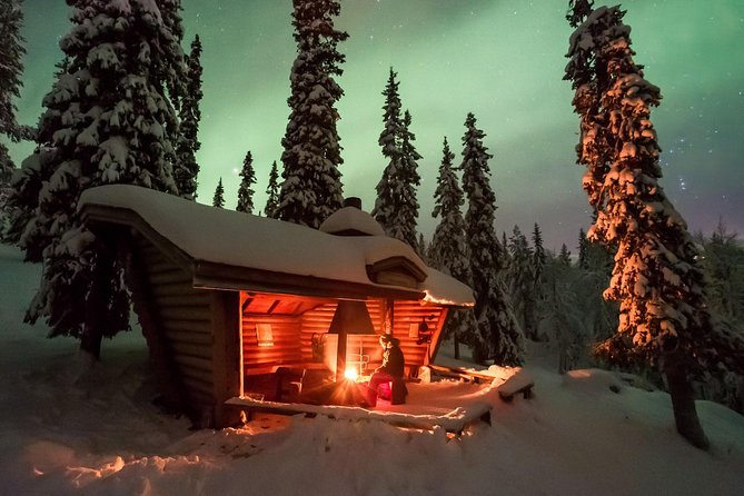 3-h Northern Light Safari by Snowmobiles From Levi - Bonfire Break: Roasted Sausages and Hot Drinks That Actually Help
