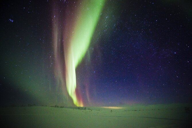 3-h Northern Light Safari by Snowmobiles From Levi - Pickup and Meeting Point: How to Avoid the Common Timing Headaches
