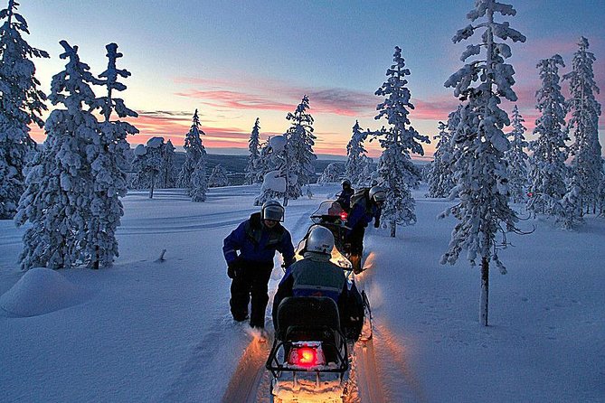 3-h Northern Light Safari by Snowmobiles From Levi - Price and Value: Is $222.29 a Fair Deal for This Kind of Aurora Night?