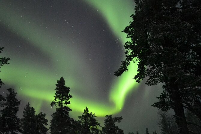 3-Hour Snowmobile Safari to Search Northern Lights in Levi - Guide style makes the difference, and you will feel it