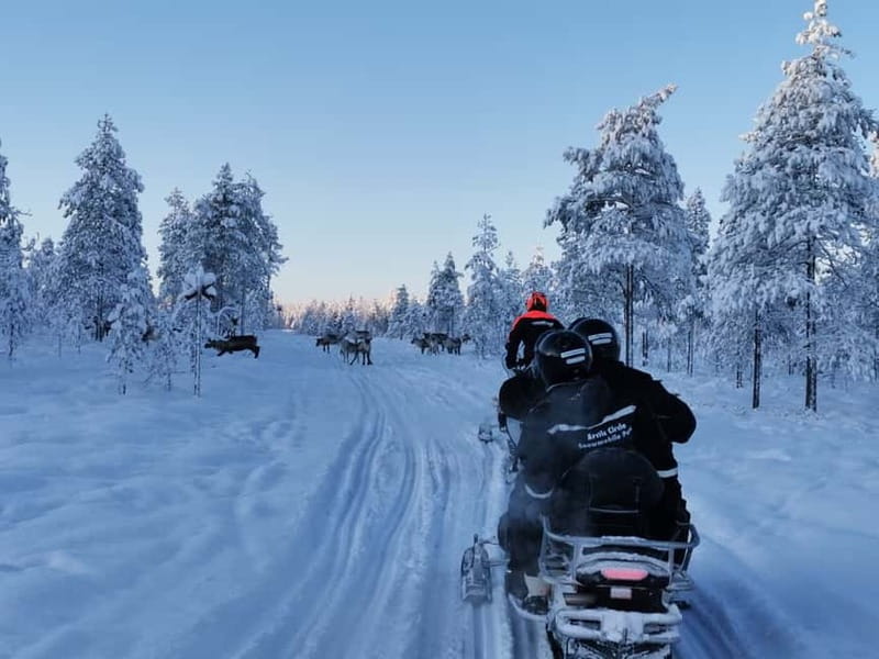 3-Hour Snowmobiling Adventure in Levi - Quick hits before you go