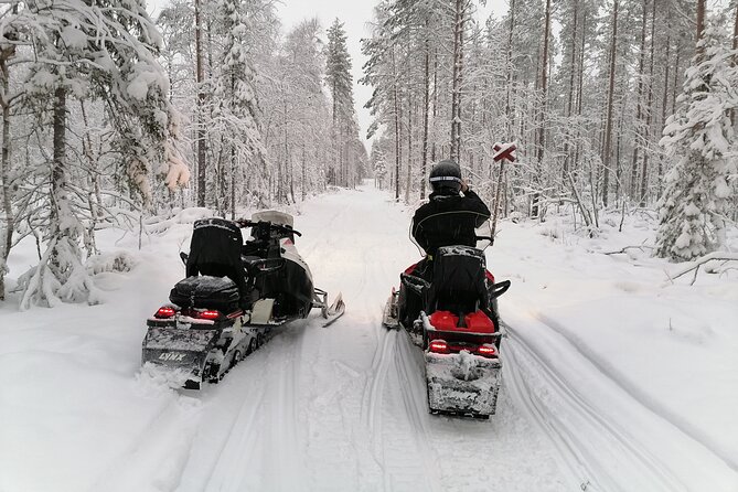3H Private Snowmobile Experience in Rovaniemi's Forest - Price and value: what $456.56 per person buys you