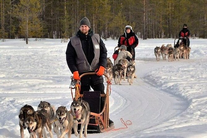 5KM Husky Sled Ride from Levi - Meet the huskies first, then go out on the sled