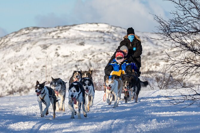 5KM Husky Sled Ride from Levi - Warming up afterward: hot juice, coffee, cookies, and cozy spaces