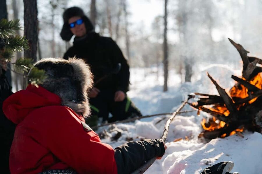 A day with reindeer herders in the wilderness - The snowmobile-sleigh ride through Lapland wilderness