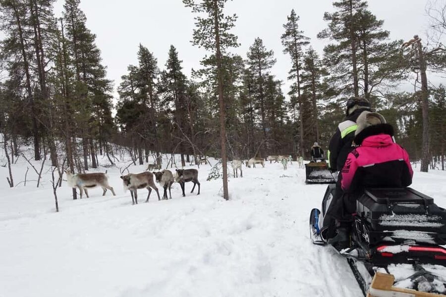 A day with reindeer herders in the wilderness - Who this tour suits best in Lapland