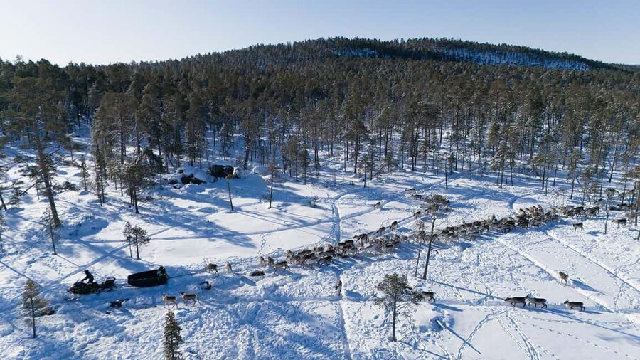 A day with reindeer herders in the wilderness - Price and what makes a $234 day feel fair