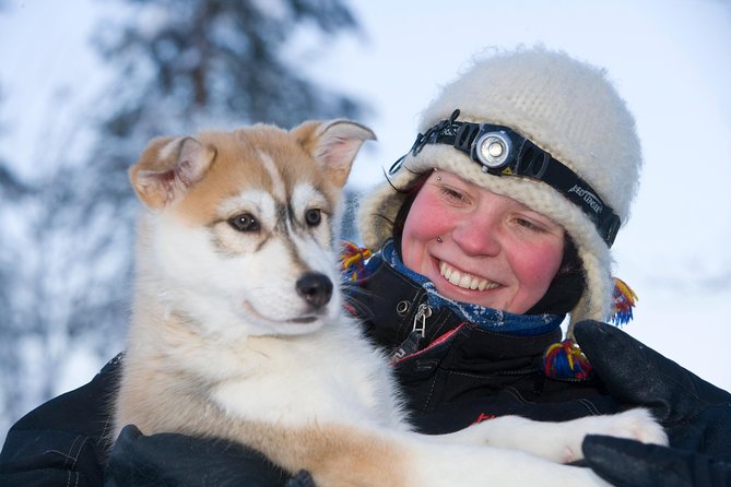 A fun 3-km Husky Safari from Levi Including a Husky Sled Ride - Entering the Levi husky safari, the timing that matters