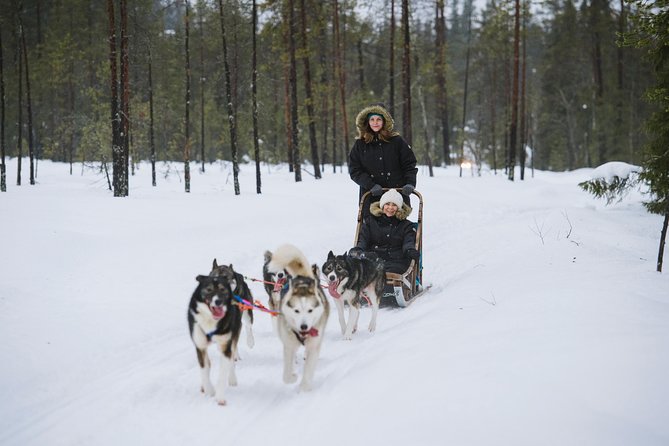A fun 3-km Husky Safari from Levi Including a Husky Sled Ride - Husky farm warm-up: meeting the dogs, learning their role