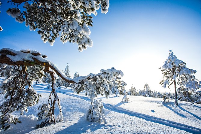 All Day Snowmobile Driving - Safety and the feeling of being in good hands