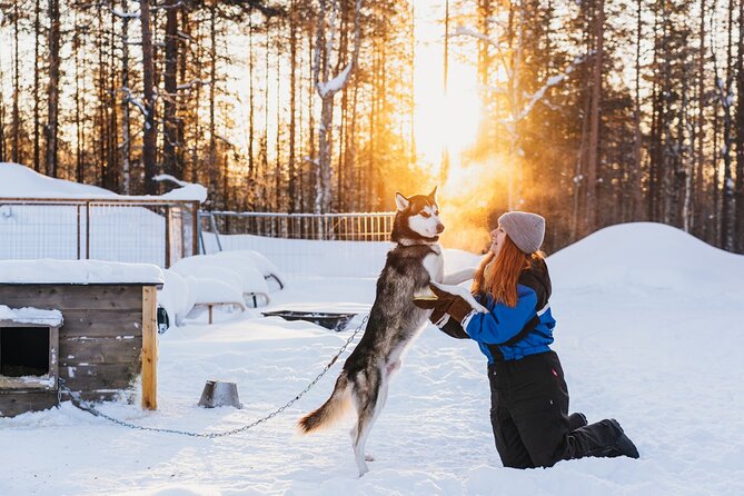 Apukka Husky Adventure in Rovaniemi - Where You Go: Apukka Resort and the Quiet Work Behind the Magic