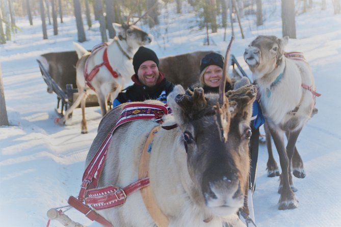 Apukka Reindeer Journey - Apukka Reindeer Journey: a warm, short classic in the Arctic