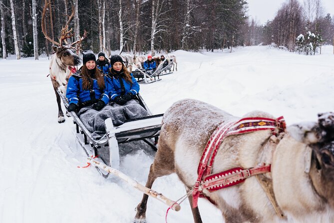Apukka Reindeer Journey - Staying warm: outerwear, lap blankets, and hot drinks