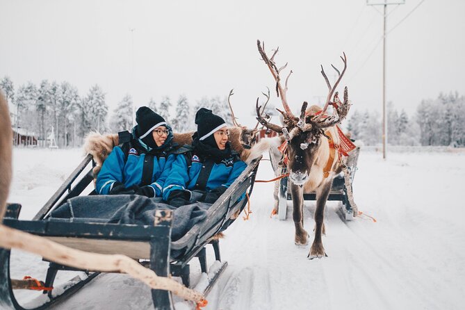 Apukka Reindeer Journey - Group size and guide language: English-friendly, family-friendly pace