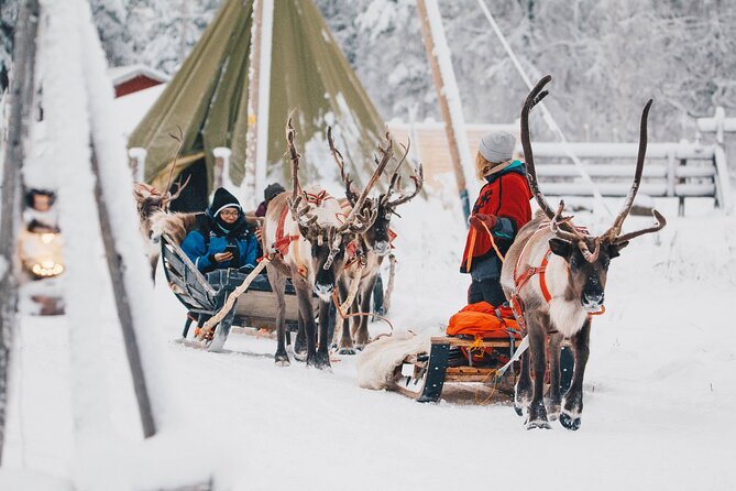 Apukka Reindeer Journey - Price and value: how $215.54 adds up in real terms