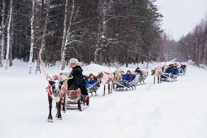 Apukka Reindeer Journey - Your 2-hour flow: what happens before, during, and after