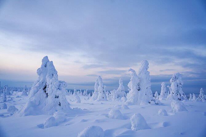 Arctic Adventure through Magical Frozen Forests of Riisitunturi - Key things to know before you go