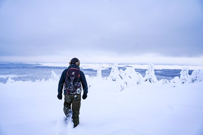 Arctic Adventure through Magical Frozen Forests of Riisitunturi - Riisitunturi National Park: why those snowy trees are the whole point