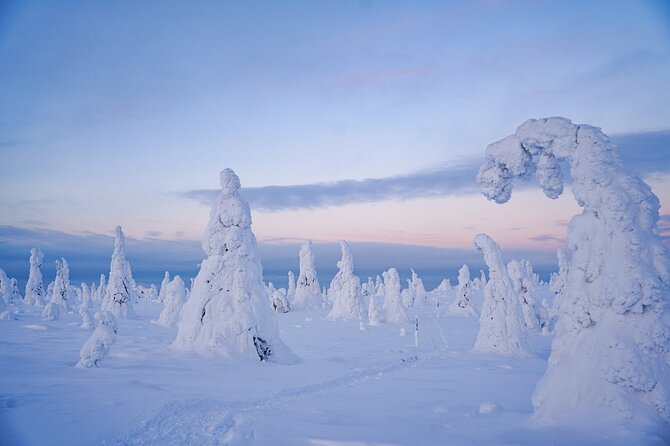 Arctic Adventure through Magical Frozen Forests of Riisitunturi - Stops inside the park: where the views work best