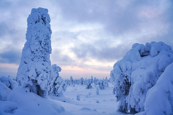 Arctic Adventure through Magical Frozen Forests of Riisitunturi - Campfire snack at the open fire: the warmth break you will remember