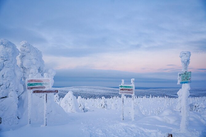Arctic Adventure through Magical Frozen Forests of Riisitunturi - Weather and snow levels: how to set expectations for photos