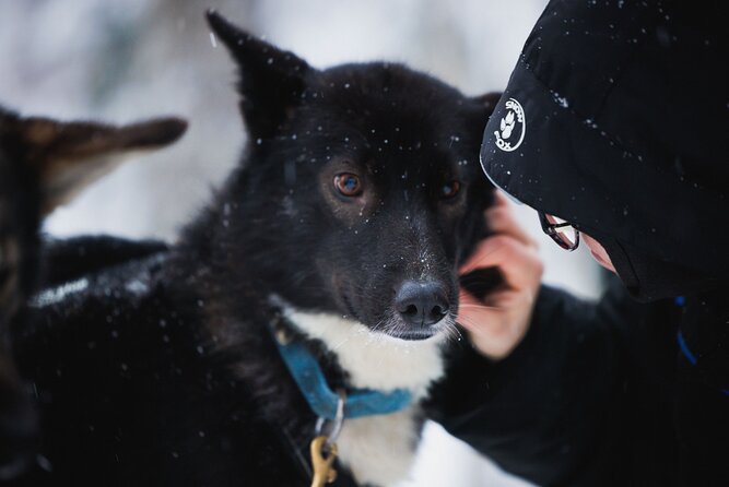 Arctic Circle Highlights Family Day - Included winter clothes: why it matters more than you think