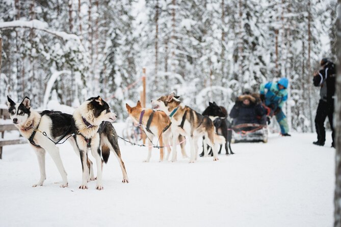 Arctic Circle Highlights Family Day - Price and value: what $222.39 buys you in the cold