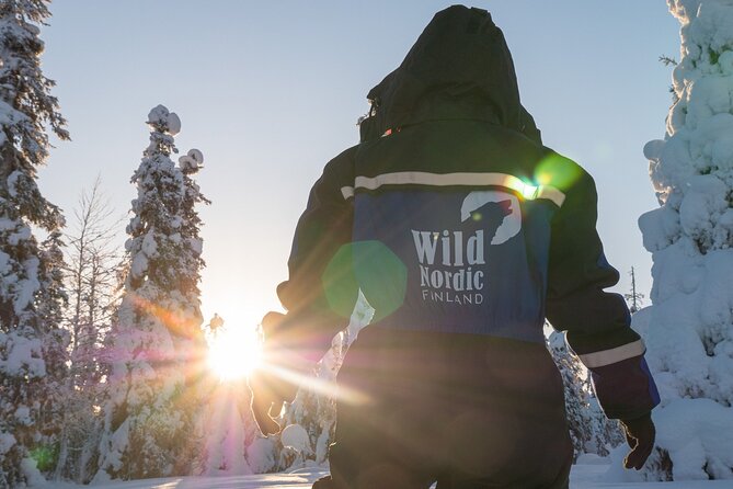 Arctic Circle Snowmobile Safari for Beginners in Rovaniemi - The Drive Itself: Slow 10 km/hr, Real Arctic Feeling