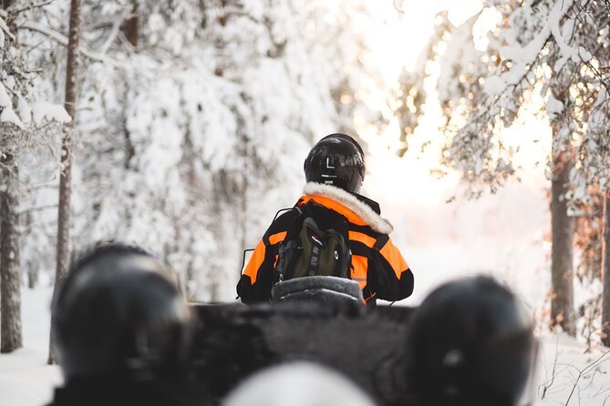 Arctic Circle Snowmobile Safari for Beginners in Rovaniemi - Guides, Training Style, And How Help Usually Shows Up