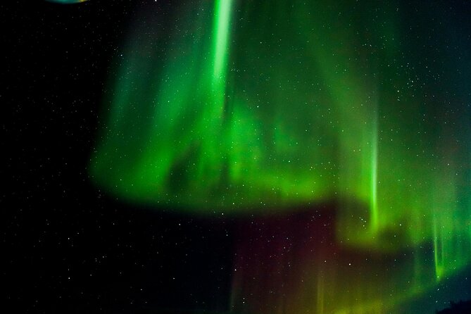Arctic Darkness & Starlight Adventure with Snowshoes - Key things to know before you go