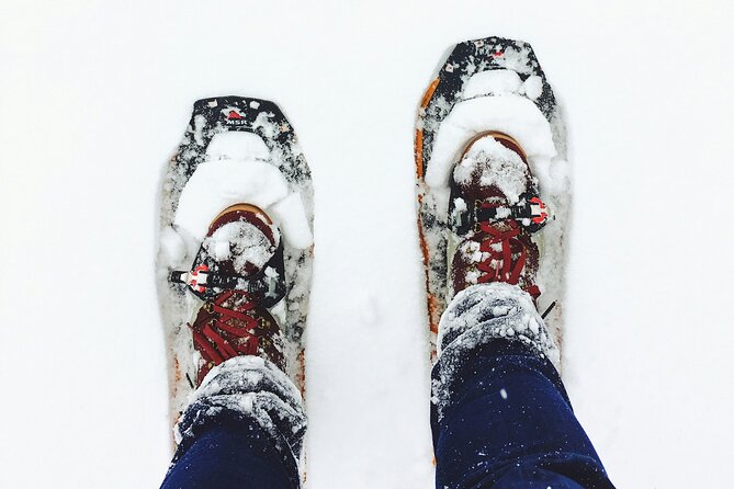 Arctic Darkness & Starlight Adventure with Snowshoes - Snowshoe Night Walking That Actually Fits a 2-Hour Schedule