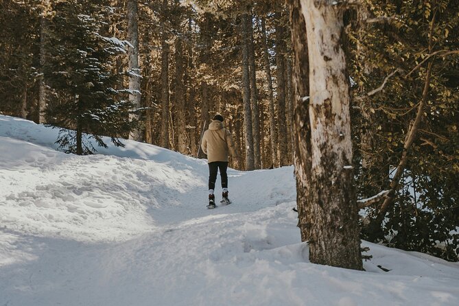 Arctic Darkness & Starlight Adventure with Snowshoes - Getting Gear and Moving Safely in the Dark