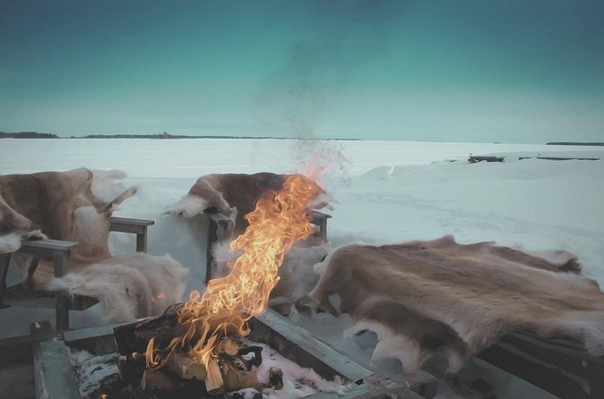 Arctic Darkness & Starlight Adventure with Snowshoes - Campfire Warm-Up With Coffee or Tea