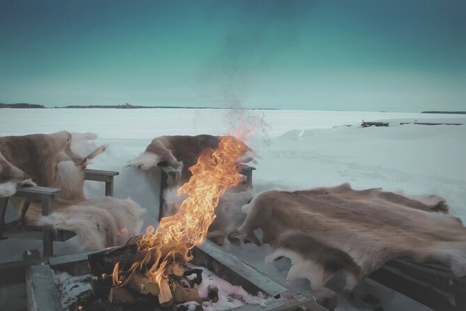 Arctic Darkness & Starlight Adventure with Snowshoes - Who This Tour Suits Best (And Who Might Want a Different Plan)