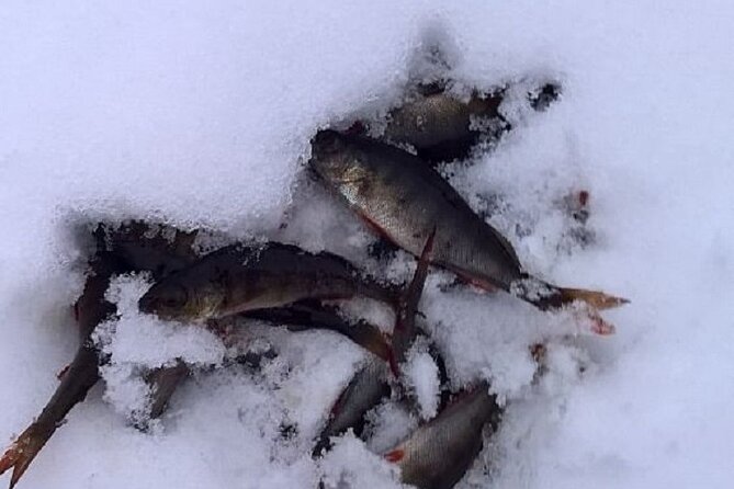 Arctic Day with Ice Fishing and Floating - Hotel pickup and meeting point: the easiest part to prepare for
