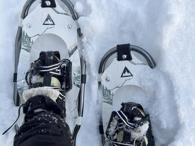 Arctic Gateway: Snowshoeing Expedition in Lapland - Why Lapland snowshoeing feels calmer than you expect