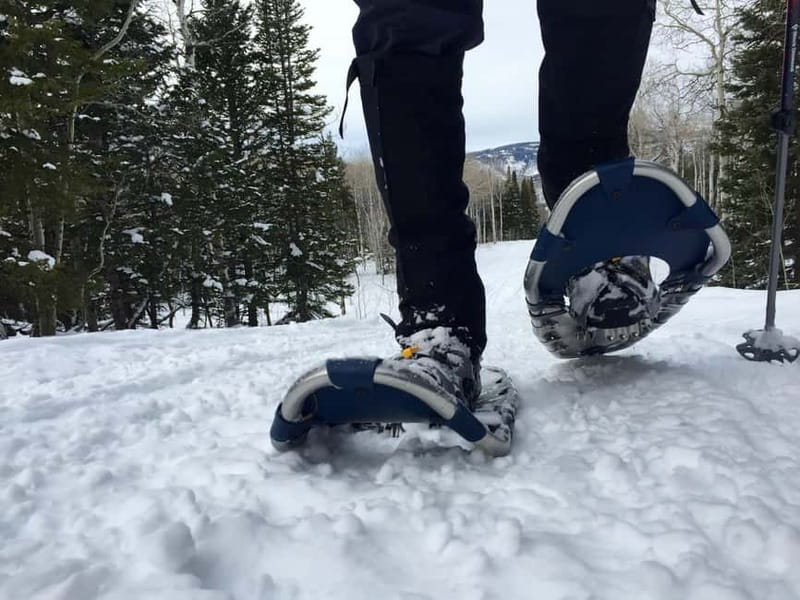 Arctic Gateway: Snowshoeing Expedition in Lapland - Pace and group reality: what 3 hours really means